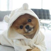 Sylvie Hager's photo
