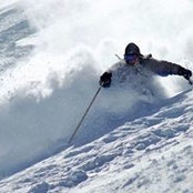 Kevin Cuff's photo