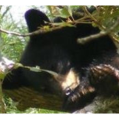 Gerri Lawall's photo