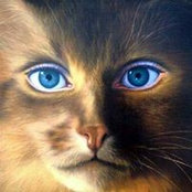 Kitty Runstedler's photo