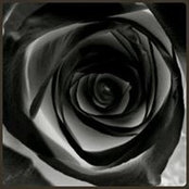 Linda Harris's photo