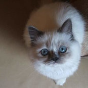 Pina Serbati's photo
