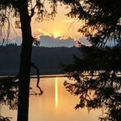 Vicky Vermey's photo