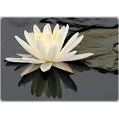 Jonna Graulich's photo