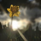 Becky Bartosz's photo