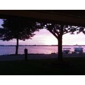Lynda Verity Wertz's photo