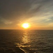 Frannie Dee's photo