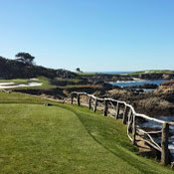 Kelly McKeown's photo
