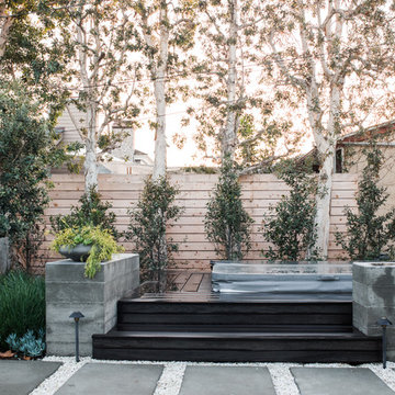 Contemporary Backyard Oasis