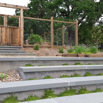 farm-to-table country garden