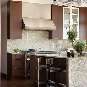 Luxury High Tech Condo