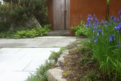Photo of a transitional landscaping in Seattle.