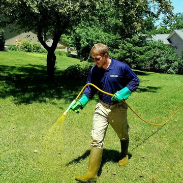 Lawn Pest Control