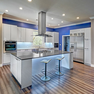 Colfax Contemporary Kitchen . Nar Fine Carpentry . Sacramento . El Dorado Hills