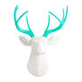 Turquoise Antlers