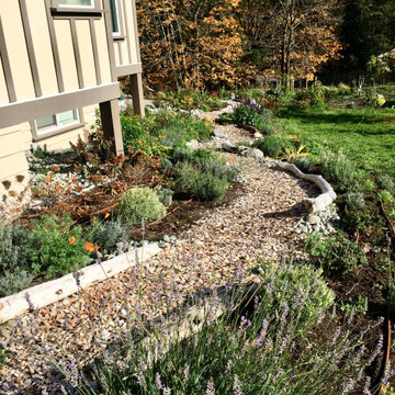 Frontyard Food Forest