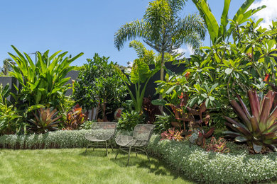 Mid-sized tropical backyard full sun garden in Sunshine Coast with a stone fence.