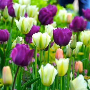 Spring Combination Ideas