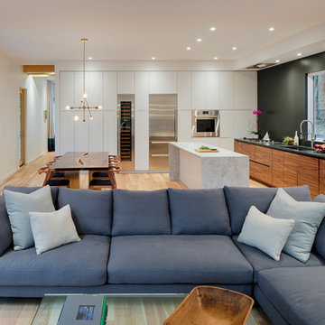 Contemporary Living Room