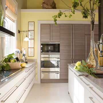 Contemporary Kitchen