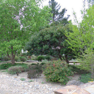 Drought Tolerant Low Maintenance Landscapes