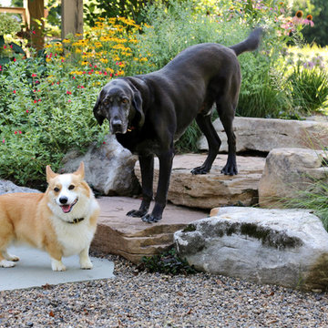 Eco-friendly Garden