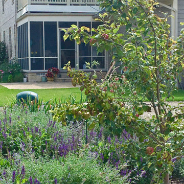 Urban Orchard
