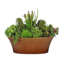 ~Plants & Trees ideas~