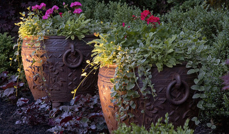 12 klassiska misstag du gör med krukor – välj rätt från början