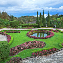 Landscape Ideas