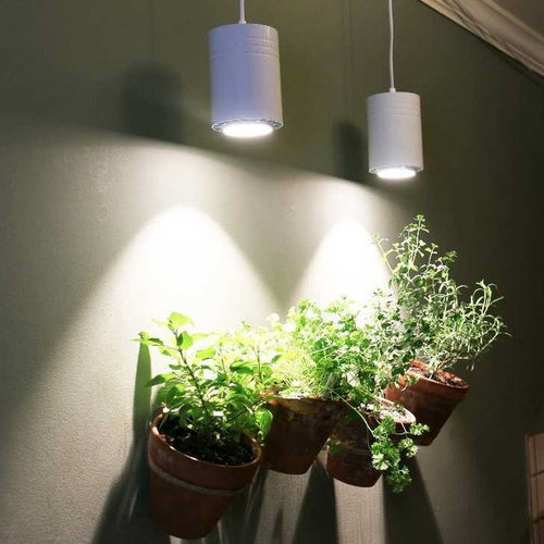 Diy simple light for indoor plants
