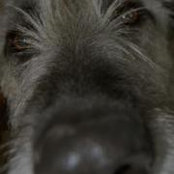 Barbara Carr's photo