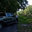Davenport Tree Service