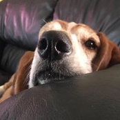 Angela Gerson's photo