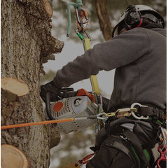 Schmiesing Tree Service