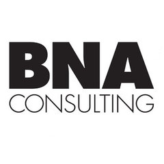 Bna Consulting Inc