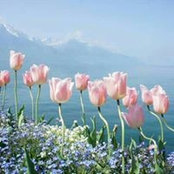 Foto von Jae K Kim