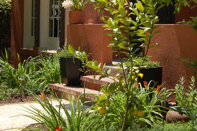Inspiration for a traditional landscaping in San Francisco.