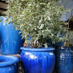 Container gardening - Products