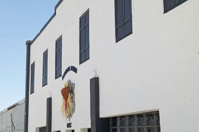 Exterior Paint Job Phoenix Rising