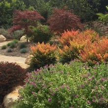 Garden Ideas