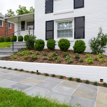 Modern Garden in DC