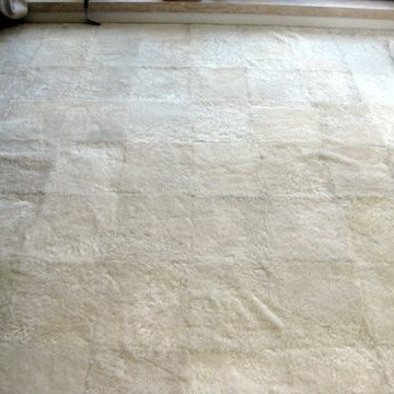 Shearling Carpet, Wall-to-wall Imported from Argentina