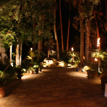 Backyard ambiance