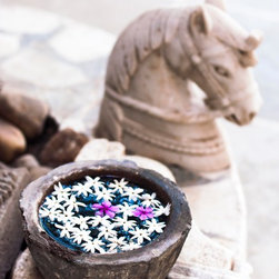 Gypsy - Products