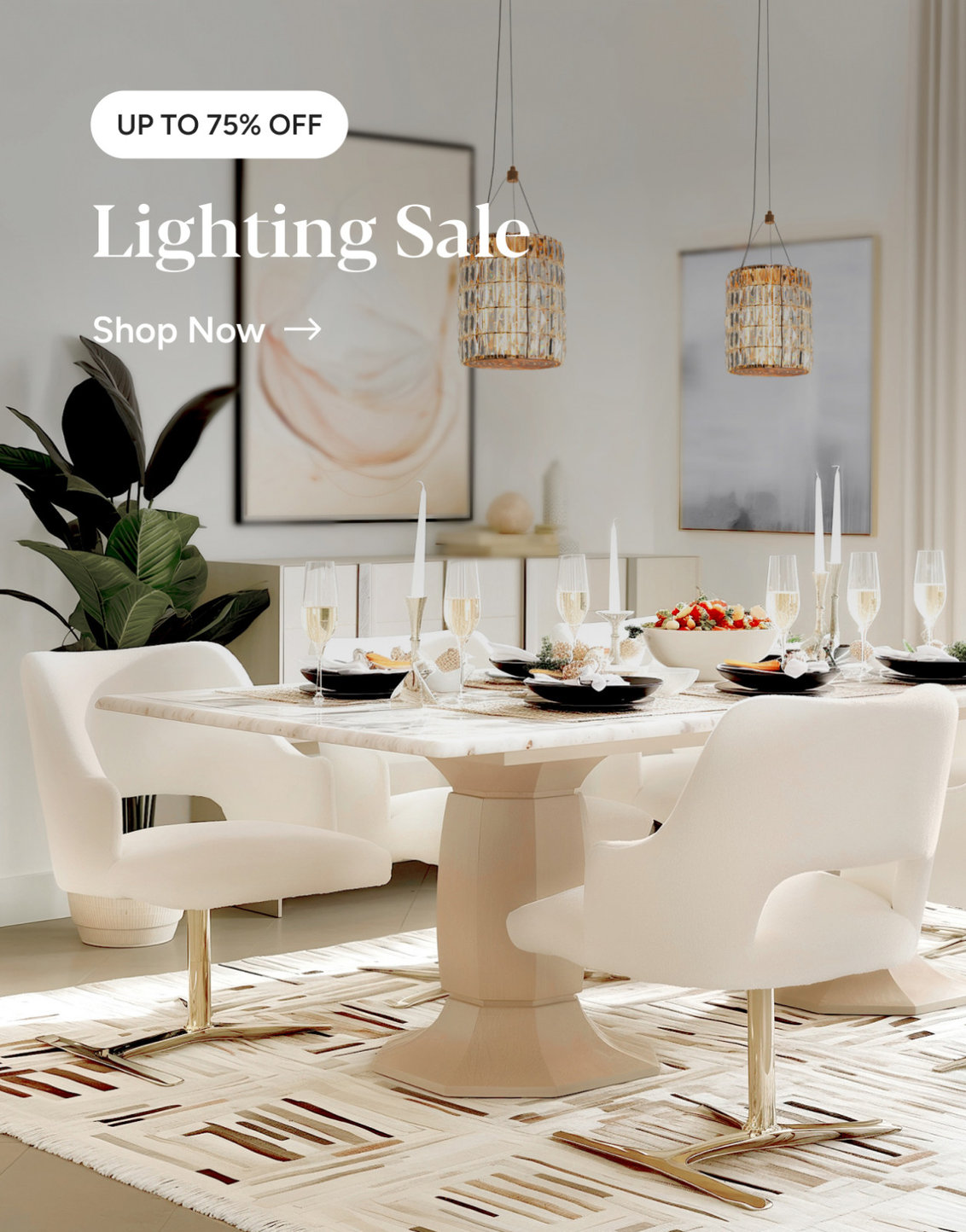 Shop Promo Banner
