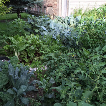 Vegetable variety | Artistry Landscaping Design