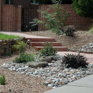 Xeriscape Projects