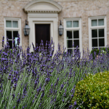 Parterre Garden