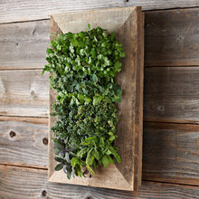 wall planters
